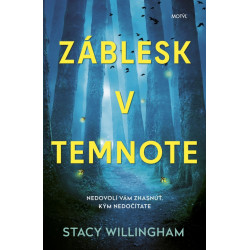 Záblesk v temnote