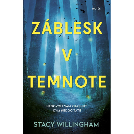 Záblesk v temnote