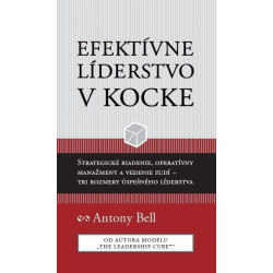 Efektívne líderstvo v kocke