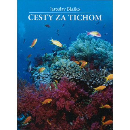 Cesty za tichom
