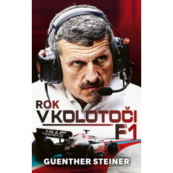 Rok v kolotoči F1