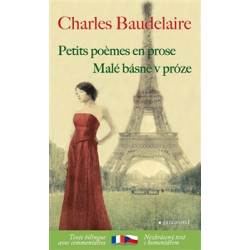 Malé básně v próze / Petits poémes en prose