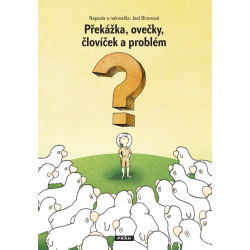 Překážka, ovečky, človíček a problém
