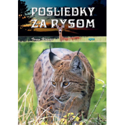 Posliedky za rysom