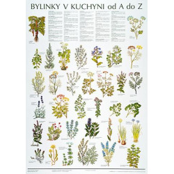 Bylinky v kuchyni od A po Z