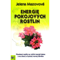 Energie pokojových rostlin