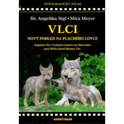 Vlci