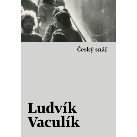 Český snář