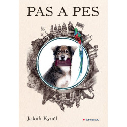 Pas a pes