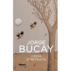 Cesta stretnutia