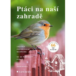 Ptáci na naší zahradě - Zážitky, pozorov
