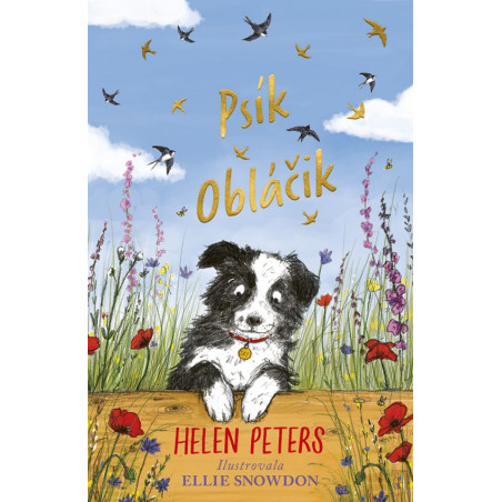 Psík Obláčik