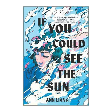 If You Could See the Sun