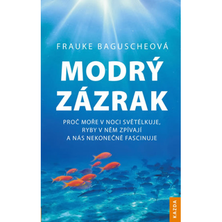 Modrý zázrak - Proč moře v noci světélku