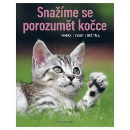 Snažíme se porozumět kočce - Mimika, zvuky, řeč těla