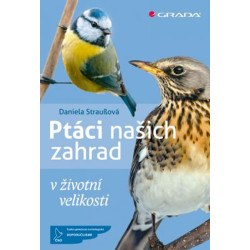 Ptáci našich zahrad v životní velikosti