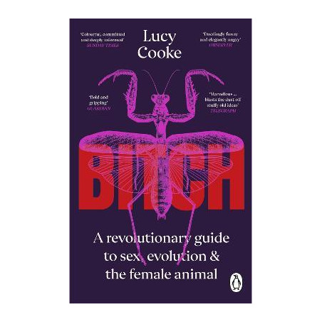 Bitch: What does it mean to be female?