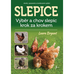 Slepice