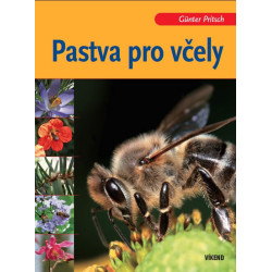 Pastva pro včely