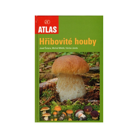 Hřibovité houby