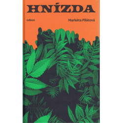 Hnízda