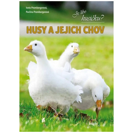 Husy a jejich chov