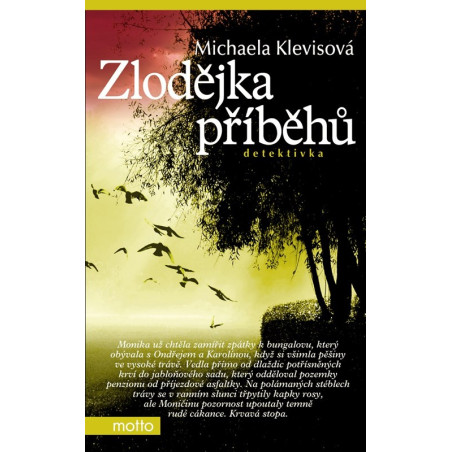 Zlodějka příběhů