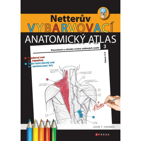 Netterův vybarvovací anatomický atlas