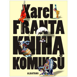 Kniha komiksů