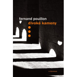 Divoké kameny