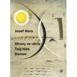 Struny ve větru, Tvůj hlas, Domov