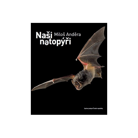 Naši netopýři