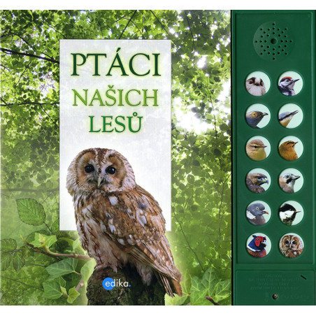 Ptáci našich lesů