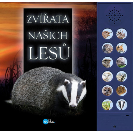 Zvířata našich lesů