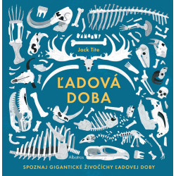 Ľadová doba