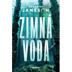 Zimná voda