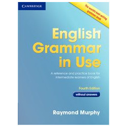 English Grammar in Use Without Answers
