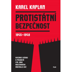 Protistátní bezpečnost