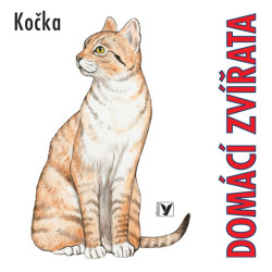 Domácí zvířata