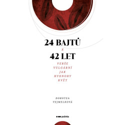 24 bajtů x 42 let