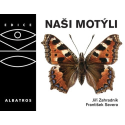 Naši motýli