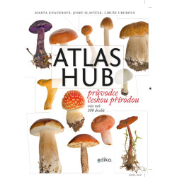 Atlas hub