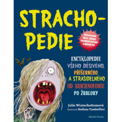 Strachopedie