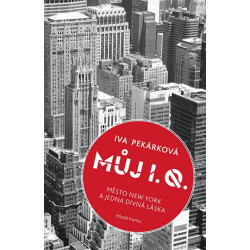 Můj I. Q.: Město New York a jedna divná láska