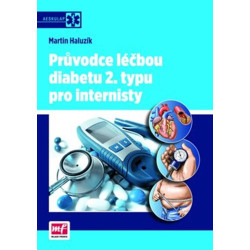 Průvodce léčbou diabetu 2. typu pro internisty