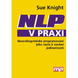 NLP v praxi