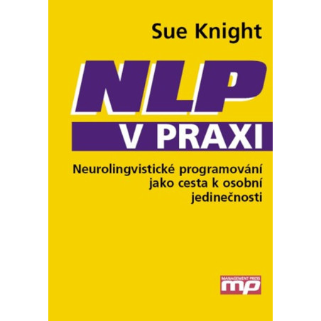 NLP v praxi