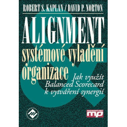 Alignment - systémové vyladění organizac