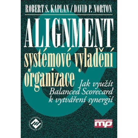 Alignment - systémové vyladění organizac