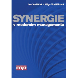 Synergie v moderním managementu